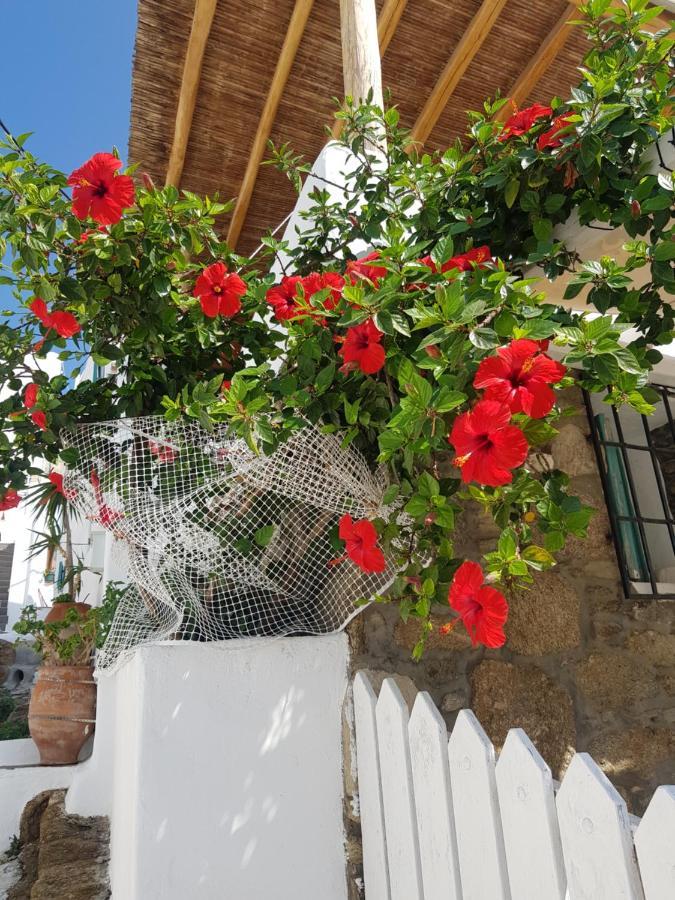 Hibiscus Rosa Mykonos Villa Mykonos Town Luaran gambar